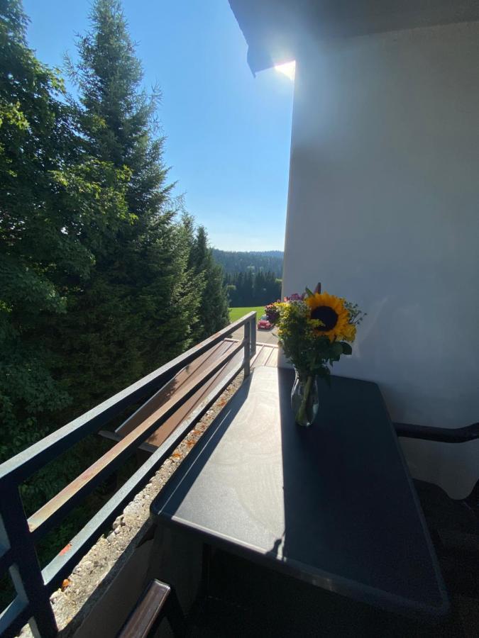 Dreisessel Dreilaendereck Pool Sauna Neureichenau Eksteriør billede