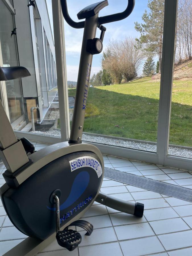 Dreisessel Dreilaendereck Pool Sauna Neureichenau Eksteriør billede